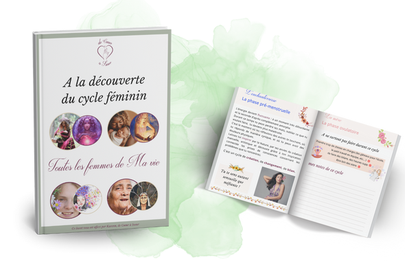 livre Toutes les femmes de Ma vie, découverte de ton cycle féminin vue de l'intérieur des pages de l'ebook